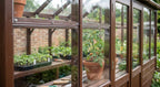 2mm Greenhouse Panes 608 x 608mm Clear - Pack of 4